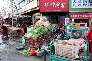 濮阳老城吃瓜事件视频最新,一场引发热议的街头冲突瞬间
