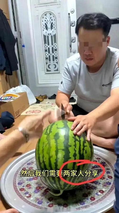 全程吃瓜现场直播视频,揭秘吃瓜现场幕后真相