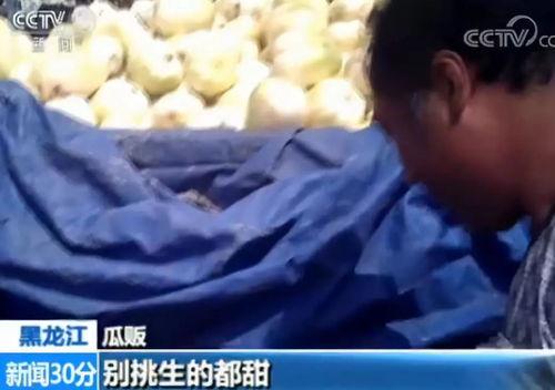 喝醉吃贝贝瓜原视频,揭秘喝醉吃贝贝瓜的趣味瞬间