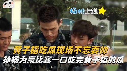 吃瓜比赛视频大全集,趣味横生的视觉盛宴