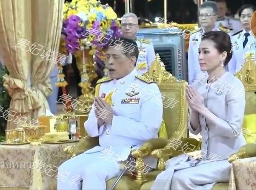 摔跤贵妃老公吃瓜视频,宫廷秘闻大揭秘！