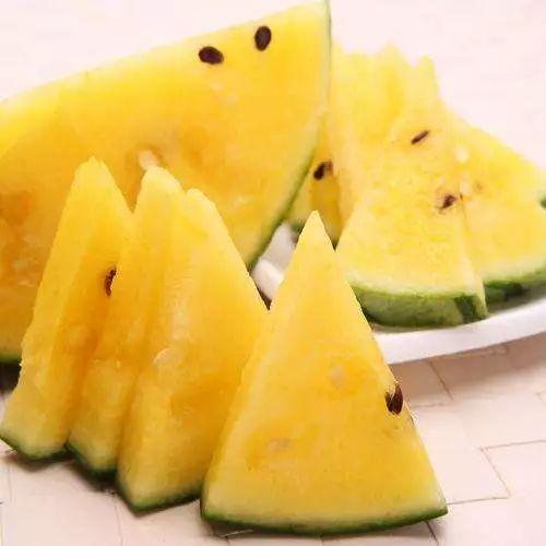 吃一窝猴脆瓜的视频,一窝尽享舌尖盛宴