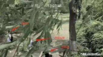 摆拍吃瓜视频在线观看,带你领略幕后花絮