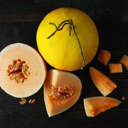 民勤蜜瓜节吃瓜视频,甜蜜盛宴，瓜香四溢的视觉盛宴