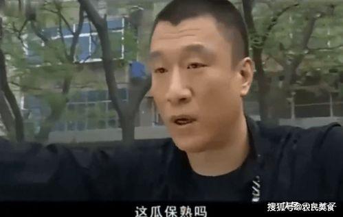 刘华强买瓜吃原视频,一场接地气的美食体验