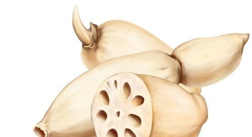 二宝吃瓜视频完整版,揭秘娱乐圈幕后真相，完整版大揭秘