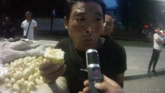 骑摩托吃瓜视频,一场别开生面的骑游盛宴