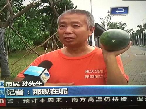 今日吃瓜热门事件视频,吃瓜群众聚焦惊天瓜皮事件