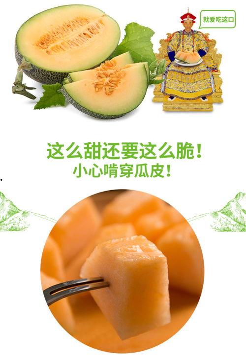 吃蜜瓜抱抱卷视频,甜蜜滋味，温馨拥抱