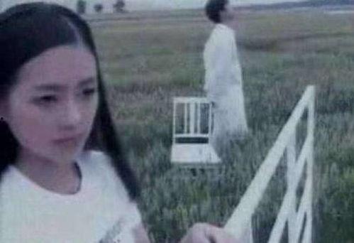 吴施蒙吃瓜事件真相视频,揭秘真相背后的惊人内幕