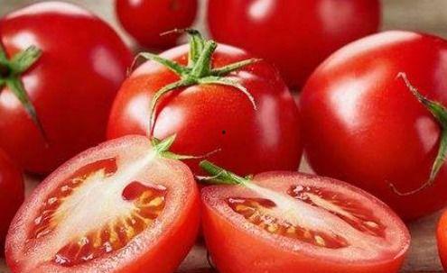 番茄吃瓜视频完整版,完整版视频深度解析