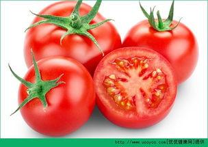 番茄吃瓜视频完整版,完整版视频深度解析