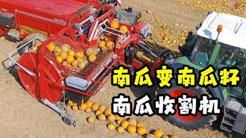 自动吃瓜机搞笑视频,瓜界新宠，笑料横生！