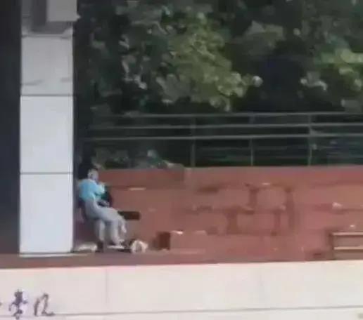 专科学校吃瓜视频,揭秘校园生活趣味瞬间