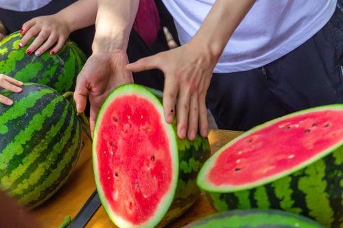 专科学校吃瓜视频,揭秘校园生活趣味瞬间