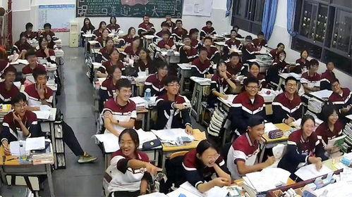 小学生打架吃瓜视频大全,小学生打架吃瓜视频大盘点