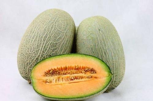 小蒋在大厅吃哈密瓜视频,小蒋大厅畅享哈密瓜美味时光