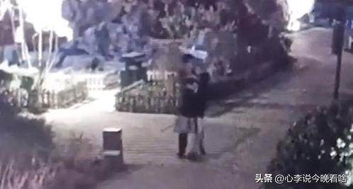 牛吃瓜视频完整版,揭秘农村生活的趣味瞬间