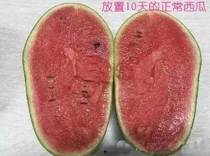 吃瓜原视频哪里能看,揭秘吃瓜原视频观看途径大揭秘