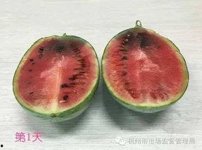 吃瓜原视频哪里能看,揭秘吃瓜原视频观看途径大揭秘