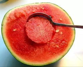 吃瓜原视频哪里能看,揭秘吃瓜原视频观看途径大揭秘