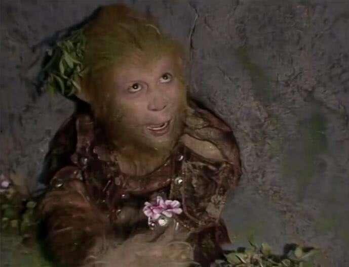 悟空吃瓜事件真相视频在线观看,揭秘真相，还原网络热议背后的故事