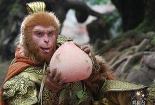 悟空吃瓜事件真相视频在线观看,揭秘真相，还原网络热议背后的故事