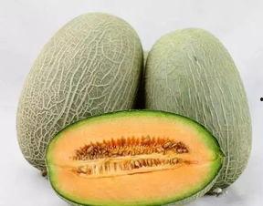 哈密瓜的吃货视频,吃货眼中的甜蜜诱惑