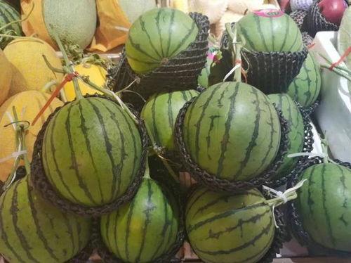 海南三亚网红吃瓜视频,揭秘热带风情下的美食诱惑