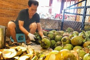 海南三亚网红吃瓜视频,揭秘热带风情下的美食诱惑