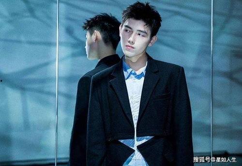 陈飞宇我是你爸吃瓜视频,揭秘娱乐圈父子情深背后的故事