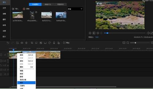 吃瓜视频怎么缩小框框,轻松缩小框框，轻松获取精彩内容概述