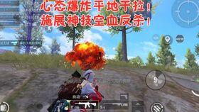 吃鸡家园吃瓜视频,揭秘吃瓜视频背后的精彩故事