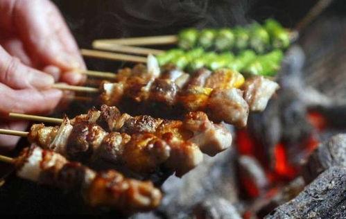 大瓜娃娃吃烤肉视频,一场味蕾的狂欢之旅