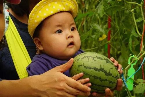 好孩子吃瓜的视频,揭秘亲子互动新潮流