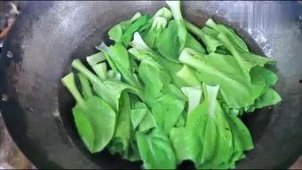 快乐吃哈密瓜视频,快乐吃瓜时光，甜蜜滋味尽享