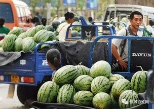 新港商贸城吃瓜视频,揭秘热门话题背后的真相