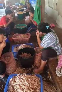 诸暨事件吃瓜视频,吃瓜群众视角下的网络热点揭秘