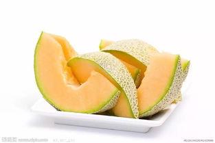 播放猴子吃哈密瓜视频