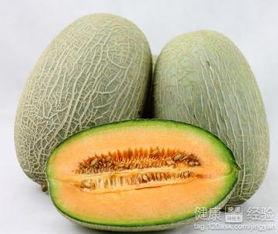 陪着美女吃哈密瓜视频,美女相伴，共享哈密瓜美味