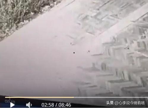 老街吃瓜最新视频网站,揭秘最新视频网站背后的精彩故事