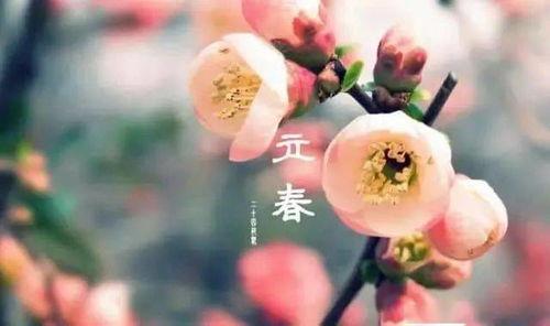 立春红脸吃瓜视频,揭秘视频背后的趣味与热议