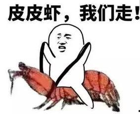 老板吃瓜套路视频全集,揭秘职场笑料连篇的神秘全集