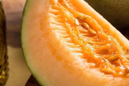 穷哥们吃哈密瓜视频大全,视频大全里的欢乐时光