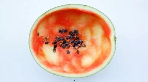 拿勺子吃瓜怎么切视频,拿勺子吃瓜，视频教你如何巧妙切割