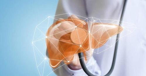 长期吃瓜损害肝脏吗视频,长期吃瓜对肝脏的影响揭秘