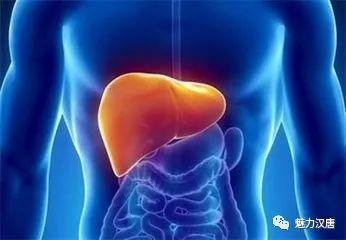 长期吃瓜损害肝脏吗视频,长期吃瓜对肝脏的影响揭秘